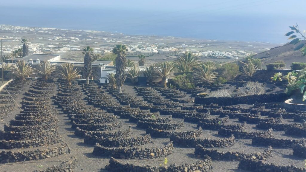 Canary Islands