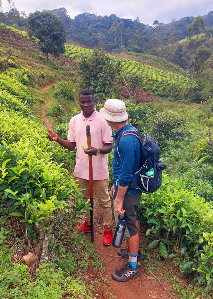 African Adventures